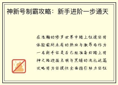 神新号制霸攻略：新手进阶一步通天